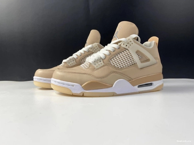 One Kick Air Shimmer Jordan 4 DJ0675-200 0715